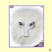 Yeti