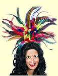 Federschmuck Karneval in Rio